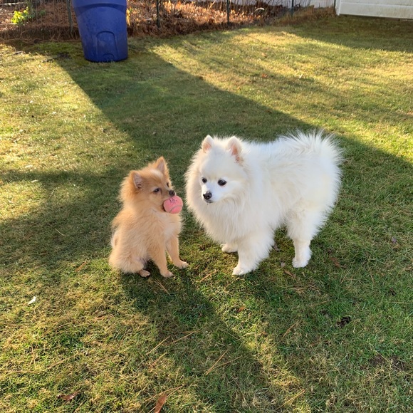 Meet your Posher, Kathy - Picture 1 of 1